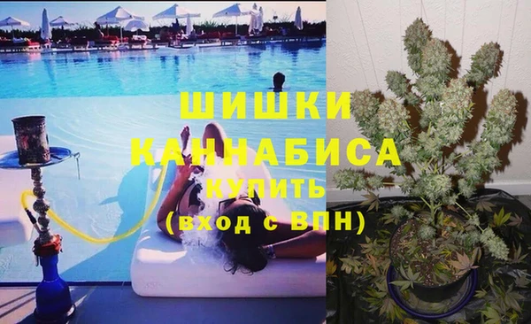 трава Новодвинск