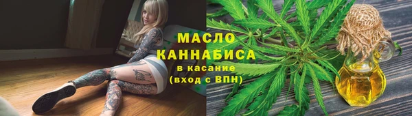 крисы Няндома