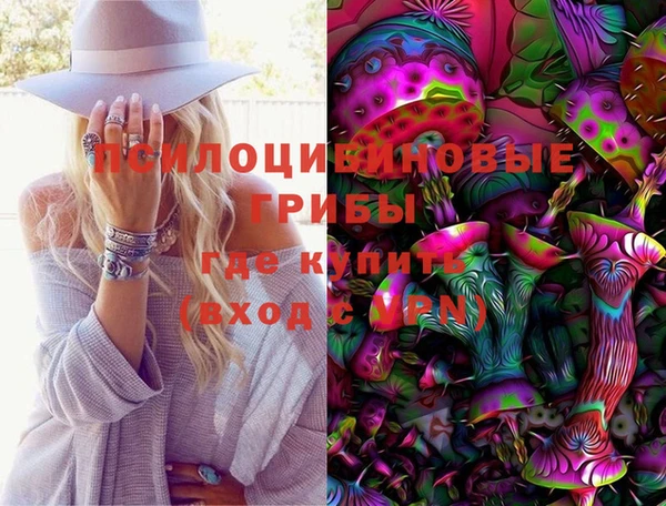 крисы Няндома