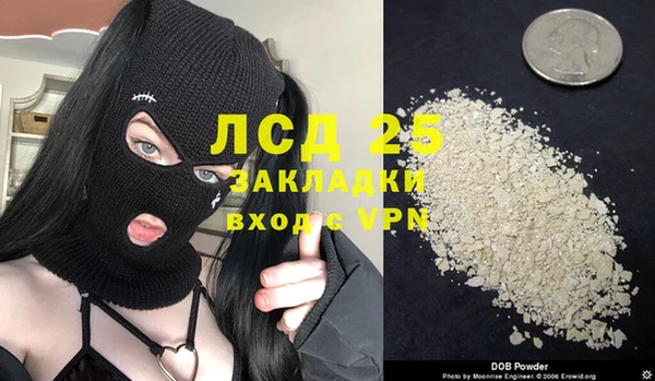 крисы Няндома