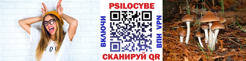 Галлюциногенные грибы MAGIC MUSHROOMS  Купить  Лесной 
