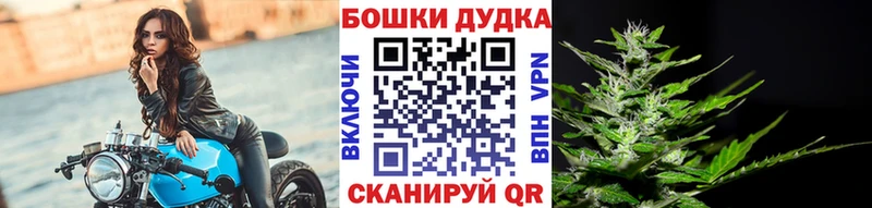 Марихуана семена  Купить  Лесной 